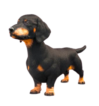 Miniatura 3D Cachorro Salsicha Realista