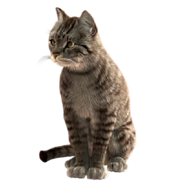 Miniatura 3D - Gato Cinza Realista